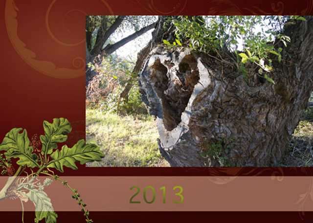 Naturgeister-Kalender 2013 beziehbar über Seelen(t)raum